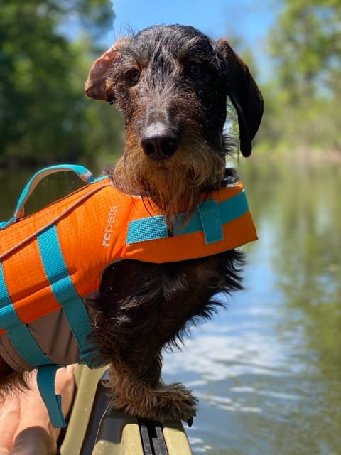 Kayaking down the river