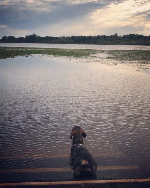 Taking it all in