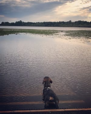 Taking it all in