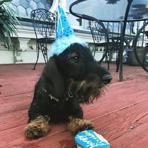 Happy Birthday!